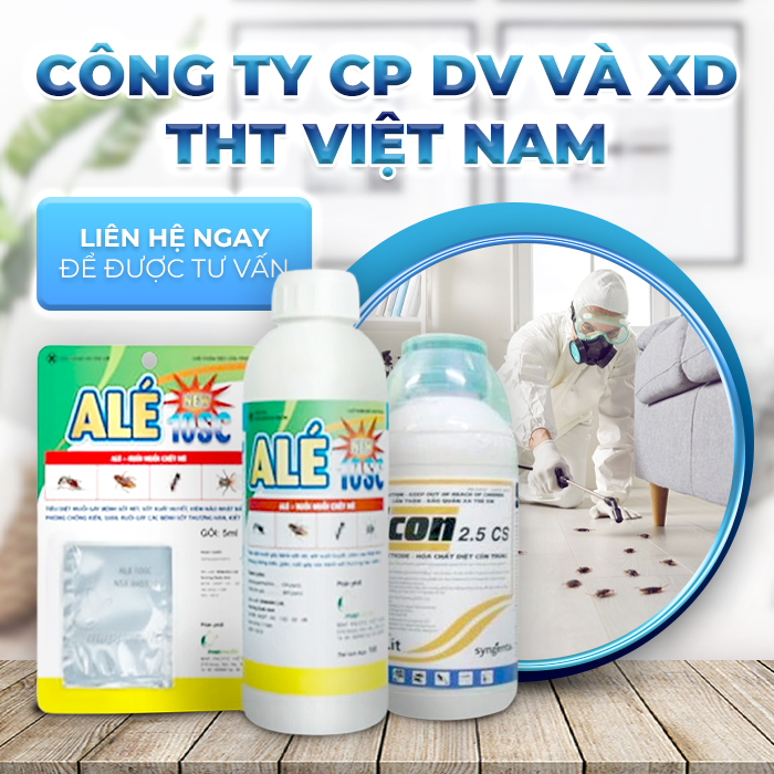 Công Ty CP DV Và Xây Dựng THT Việt Nam